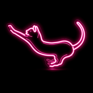 Néon LED Chat – L’enseigne lumineuse féline qui sublime votre déco